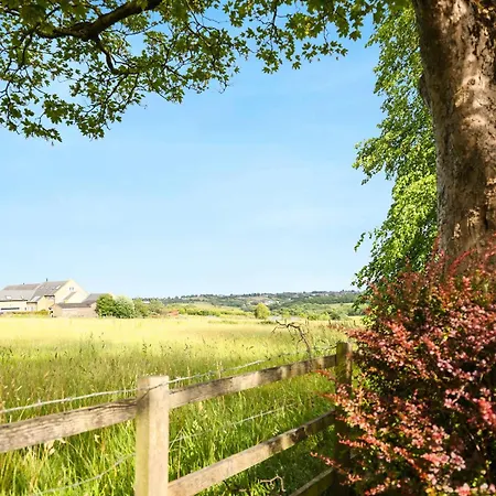 The Courtyard Near Daire