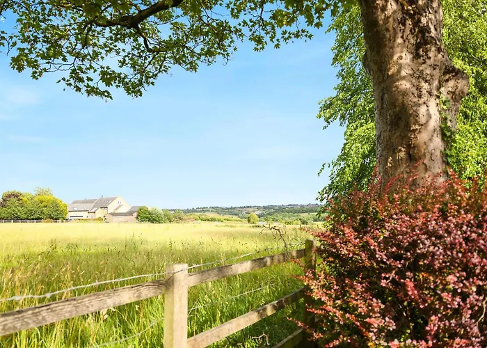 The Courtyard Near Apartment