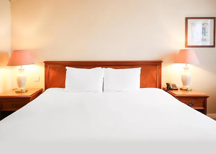 The Courtyard Near شقة *